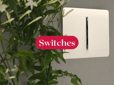 Browse Switches Today!